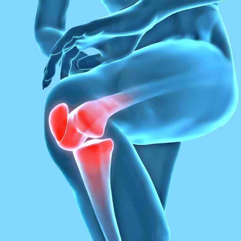 3D illustration of human knee joint