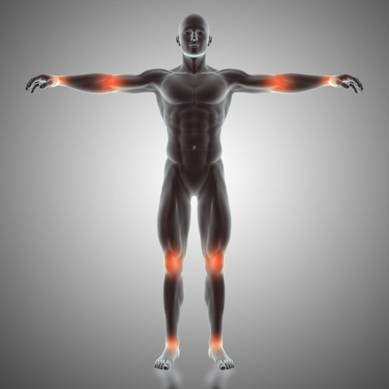3D render of a male figure with joints highlighted