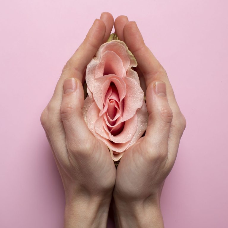 woman-holding-rose-hands-reproductive-system-visualization